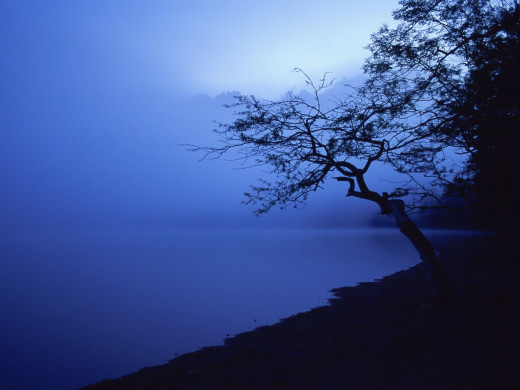 38443 (a): :1600x1200